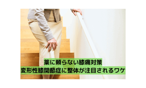 階段で膝を押さえる女性の写真。整体による変形性膝関節症の改善が注目されている様子。