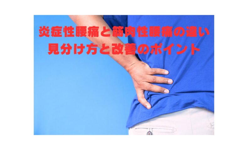 炎症性腰痛と筋肉性腰痛の違いを解説する記事用イメージ。腰に手を当てて痛みを訴える人の写真。